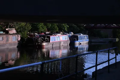 DSC_1729 (Large).JPG